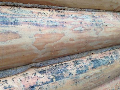 Покраска стен деревянного дома. Особенности нанесения краски на деревянные стены 13