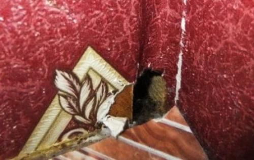 Выбор деревянного дома старой постройки. Осмотр пола