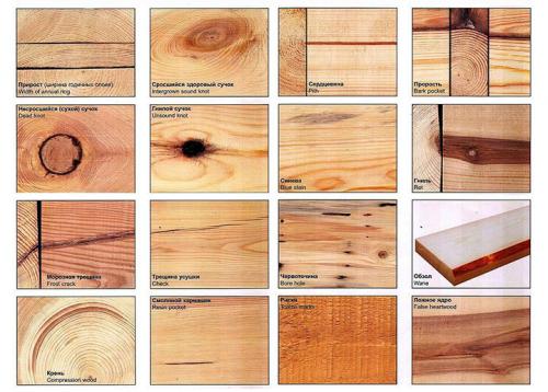Как оценить качество деревянного дома при покупке. Тип древесины: летняя или зимняя. Какую выбрать для будущего дома?