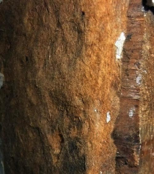 Выбор деревянного дома старой постройки. Осмотр пола