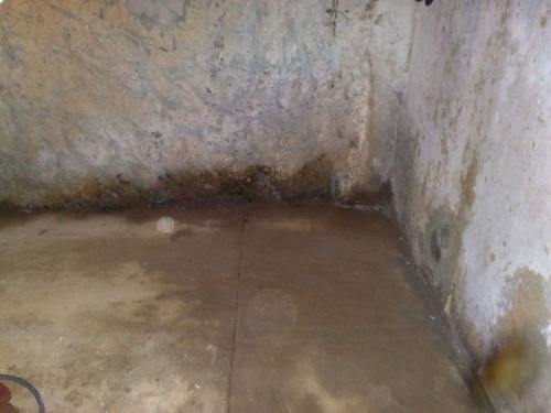 Как оценить качество деревянного дома при покупке. Тип древесины: летняя или зимняя. Какую выбрать для будущего дома? 05