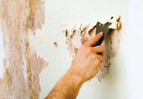 Как снять старую краску для подготовки стен к покраске. Разница в работах в зависимости от поверхности и вида краски