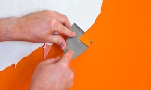 Как снять масляную краску со стен без пыли. Стены