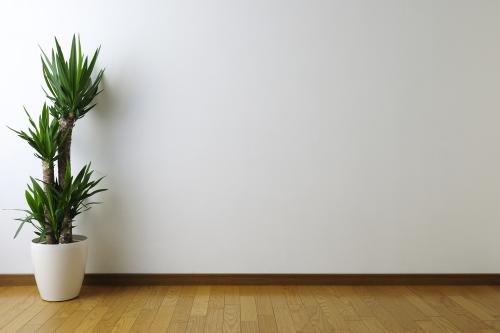 Как поклеить обои на окрашенную стену. Масляная краска и её условия