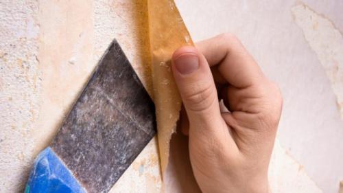 Подготовка помещения и стен к окрашиванию. Общие правила 13 Подготовка помещения и стен к окрашиванию. Общие правила 13