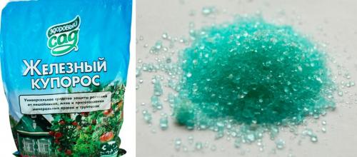 Железный купорос: применение в саду