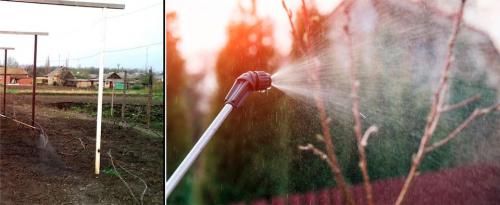 Железный купорос: применение в саду