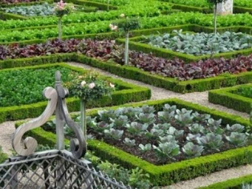 Обработка растений железным купоросом. Все о применении железного купороса в садоводстве 02 Обработка растений железным купоросом. Все о применении железного купороса в садоводстве 02