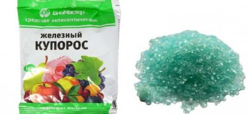 Обработка растений железным купоросом. Все о применении железного купороса в садоводстве 13 Обработка растений железным купоросом. Все о применении железного купороса в садоводстве 13