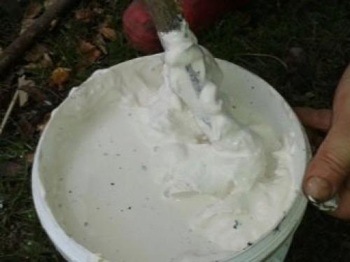 Виды обработки древесины купоросом. Почему нужно не допускать гниения дерева 11 Виды обработки древесины купоросом. Почему нужно не допускать гниения дерева 11