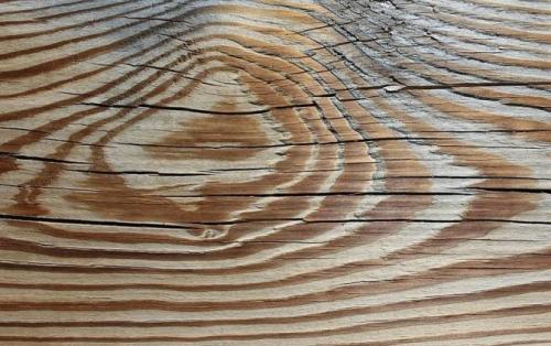 Виды обработки древесины купоросом. Почему нужно не допускать гниения дерева