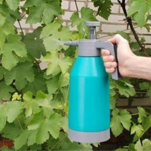 Железный КУПОРОС для удобрения грунта. Железный КУПОРОС, применение в садоводстве весной: инструкция 04