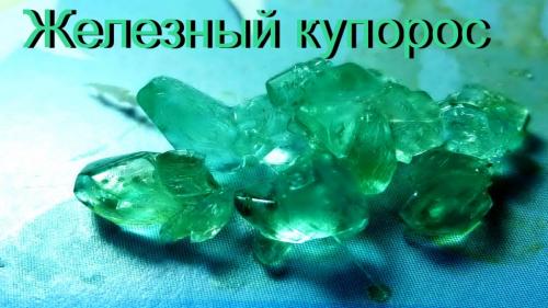 Обработка сада железным купоросом весной и осенью. Железный КУПОРОС. Осенняя и весенняя обработка садовых деревьев и кустарников 03 Обработка сада железным купоросом весной и осенью. Железный КУПОРОС. Осенняя и весенняя обработка садовых деревьев и кустарников 03