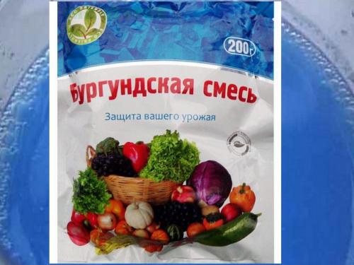 Чем заменить бордосскую жидкость. Что такое бургундская жидкость: состав, пошаговая инструкция по приготовлению и применению