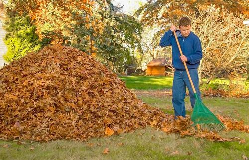 Осеннее опрыскивание. Осенняя обработка сада: эффективные приемы против болезней и вредителей