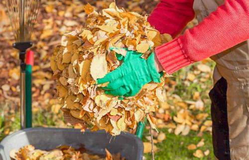 Осеннее опрыскивание. Осенняя обработка сада: эффективные приемы против болезней и вредителей