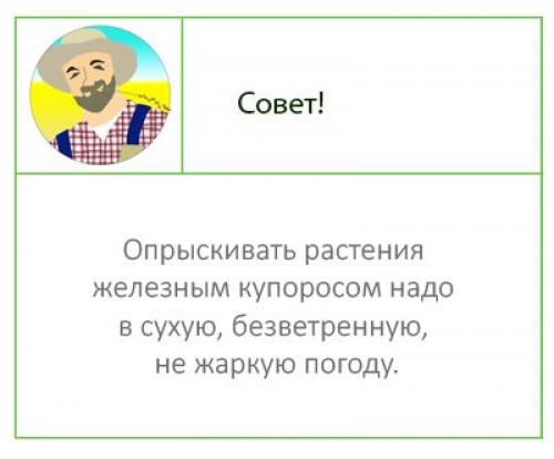 Железный купорос для деревьев. Железный купорос: применение в саду