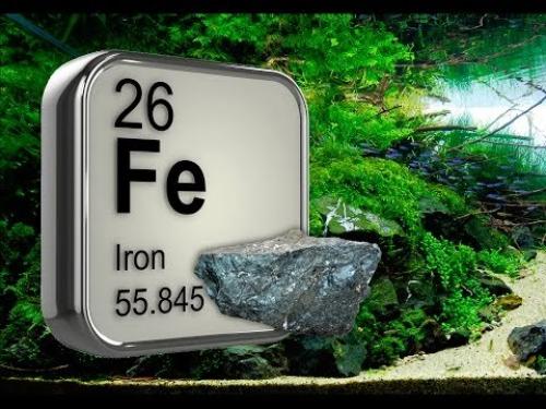 Железный купорос и лимонная кислота. Удобрение для аквариумных растений с железом своими руками