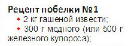 Железный купорос в борьбе с болезнями сада. Применение железного купороса весной