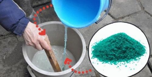 Обработка деревьев и кустарников железным купоросом. Правильное применение железного купороса 09 Обработка деревьев и кустарников железным купоросом. Правильное применение железного купороса 09