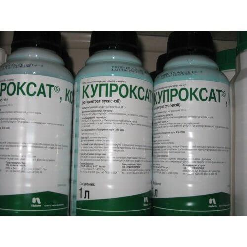 Чем заменить бордосскую жидкость. Бордосская жидкость, применение в садоводстве весной и осенью