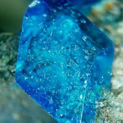 Бургундская смесь для винограда. Как приготовить самостоятельно