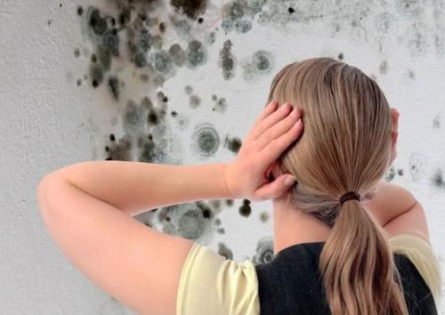 Как развести медный купорос для обработки стен от плесени. Как обработать стены медным купоросом от плесени и грибка в домашних условиях