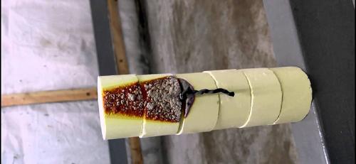 Медный купорос от плесени на досках. Как вывести плесень в деревянном доме