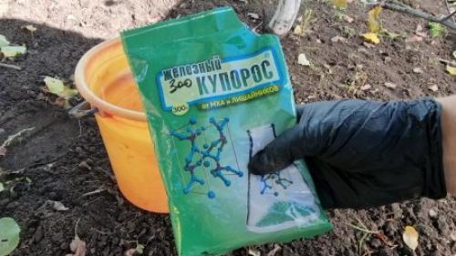 Медный или железный купорос осенью. Начну с железного купороса, его плюсы: