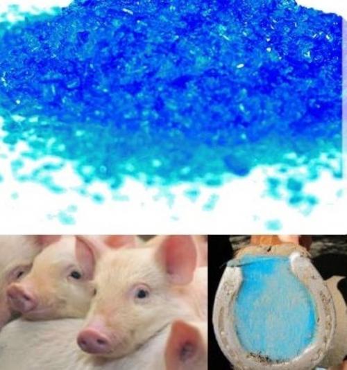 Медный купорос в ветеринарии. Несколько советов, как применять медный купорос в ветеринарии