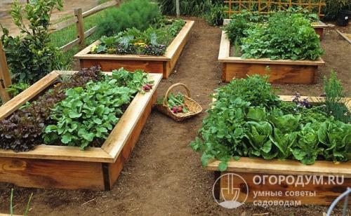 Обработка дерева от гниения в земле. Чем обработать доски для грядок