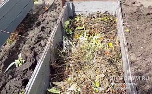 Обработка дерева от гниения в земле. Чем обработать доски для грядок