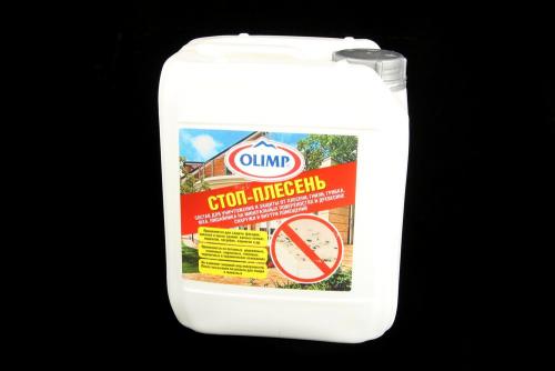 Лучшее средство от плесени на стенах. Как избавиться от опасного «соседа»?