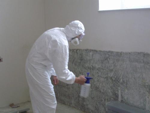 Плесень на стенах, как избавиться. Как вывести плесень со стен: смерть врагам