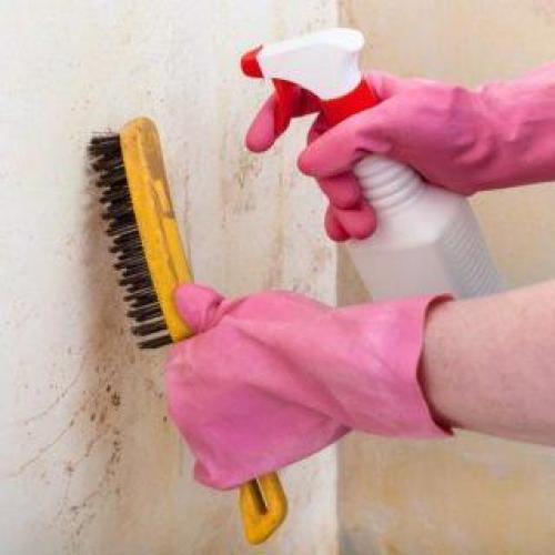 Как избавиться от плесени на стенах в частном доме. Как избавиться от плесени самостоятельно