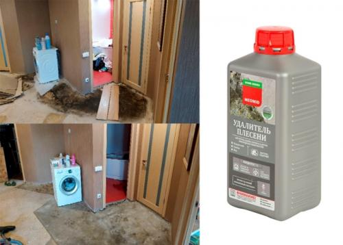 Как убрать плесень в ванной домашними средствами. Чем убрать плесень в ванной