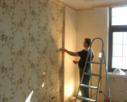 Чем лучше отделать стены. Варианты обоев для внутренней отделки помещений 12 Чем лучше отделать стены. Варианты обоев для внутренней отделки помещений 12