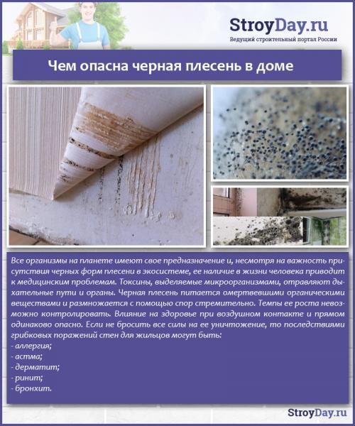 Как избавиться от грибка на стенах. Проверенные способы уничтожения плесени на стенах 03 Как избавиться от грибка на стенах. Проверенные способы уничтожения плесени на стенах 03
