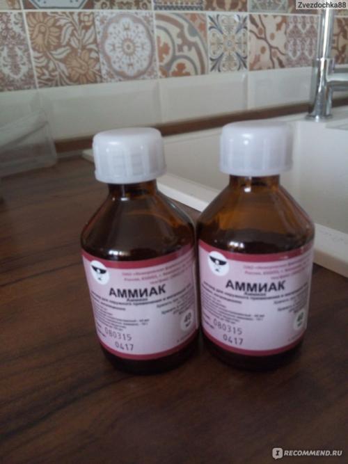 Чем обработать плесень на бетоне. Основные правила обработки бетонных поверхностей от плесени