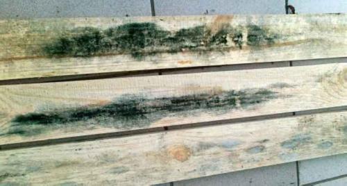 Антисептик для дерева своими руками на медном купоросе. Как самому сделать антисептик, как его применять? 04 Антисептик для дерева своими руками на медном купоросе. Как самому сделать антисептик, как его применять? 04