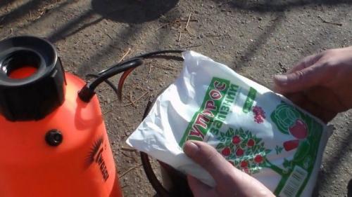 Медный купорос осенью. Обработка почвы медным купоросом осенью: для чего это делается и советы по выполнению процедуры