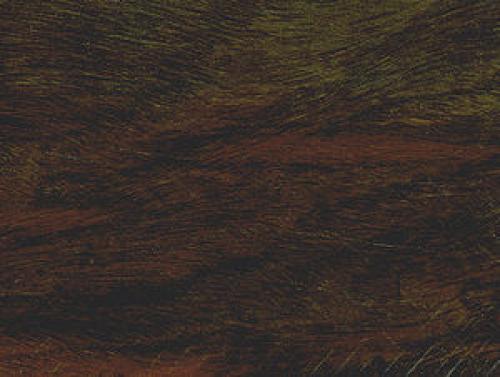 Долговечная древесина и срок службы. Срок службы древесины 01 Долговечная древесина и срок службы. Срок службы древесины 01