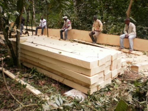 Чем покрыть вагонку в предбаннике. В бане важно все