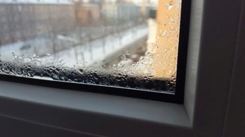 Как избавиться от плесени. Почему появляется плесень 07 Как избавиться от плесени. Почему появляется плесень 07