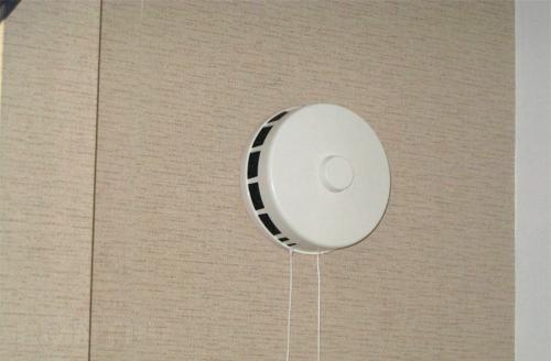 Как избавиться от плесени. Почему появляется плесень 03 Как избавиться от плесени. Почему появляется плесень 03