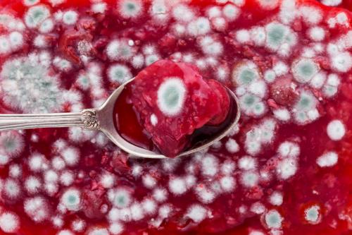 Как избавиться от плесени на продуктах. Когда плесень — это яд? Правила безопасности