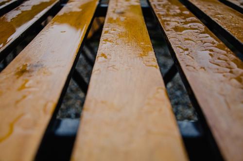 Что такое антисептик для дерева. Антисептики для дерева - виды и правила использования