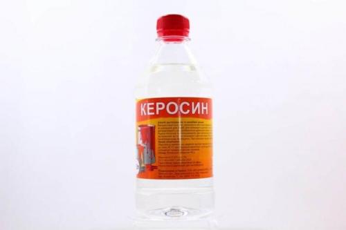 Как избавиться от тараканов народными средствами. Как избавиться от тараканов: лучшие народные средства
