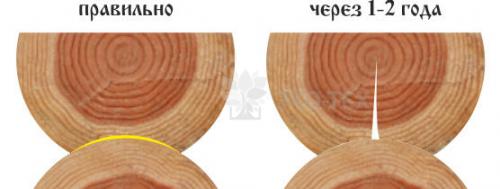Усадка дома из бревна. ПРОЦЕСС УСАДКИ ДОМА С ТОЧКИ ЗРЕНИЯ ФИЗИКИ